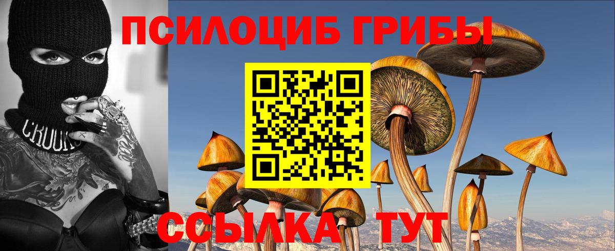Галлюциногенные грибы прущие грибы  Псилоцибиновые грибы GOLDEN TEACHER  Слободской  Вход с VPN 