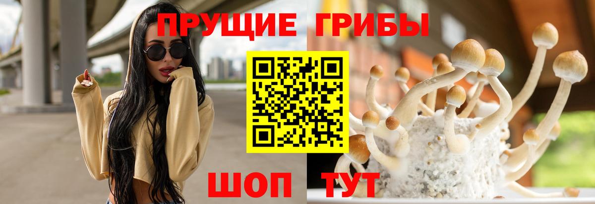 Галлюциногенные грибы Magic Shrooms Слободской